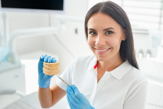 Médecin souriant montrant un modèle de mâchoires dans une clinique dentaire moderne