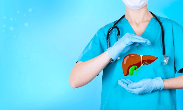 Photo un médecin avec un stéthoscope tient une icône réaliste du foie humain dans ses mains le concept de sensibilisation à la prévention des maladies des organes internes espace de copie photo de haute qualité