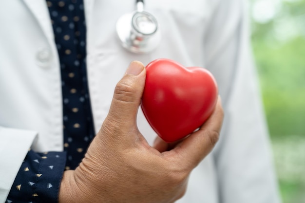 Médecin tenant un coeur rouge en salle d'hôpital, concept médical fort et sain.