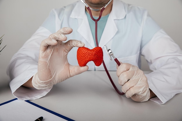 Photo médecin tenant un modèle rouge de thyroïde à une table en bois au bureau