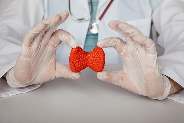 Photo médecin tenant un modèle rouge de thyroïde à une table en bois en gros plan de bureau