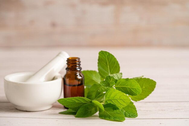 Médecine alternative à base de plantes herbes biologiques feuille de menthe suppléments naturels pour une bonne vie saine
