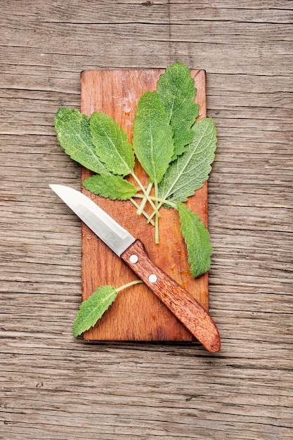 Médecine naturelle et herbes