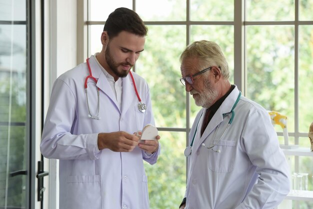 Des médecins examinant le mode anatomique par la fenêtre d'un hôpital.