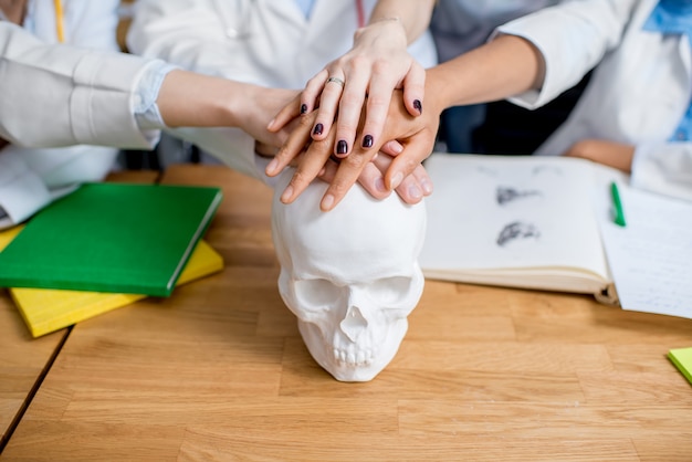 Médecins se tenant la main sur le crâne de gypse sur le bureau avec des livres