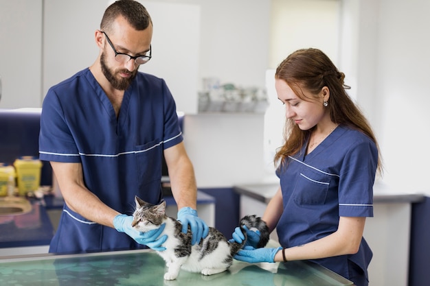 Medium Shot Médecins Vérifiant Un Chat