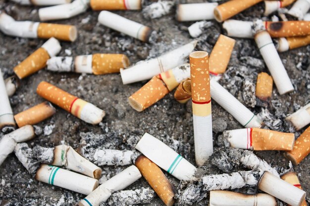 Mégots de cigarettes dans le cendrier