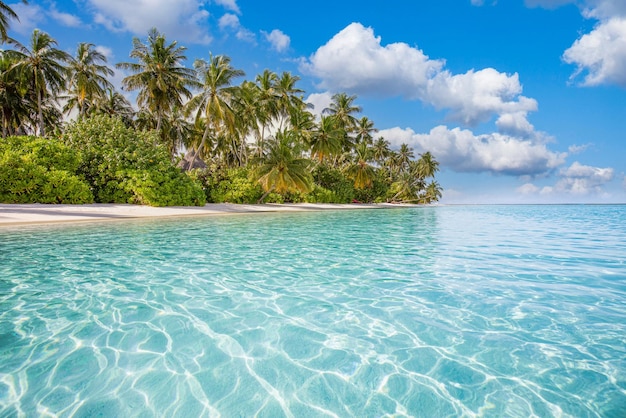 Photo meilleur paysage de plage tropicale. côte d'été fantastique, destination de vacances, ciel de sable de mer de palmiers