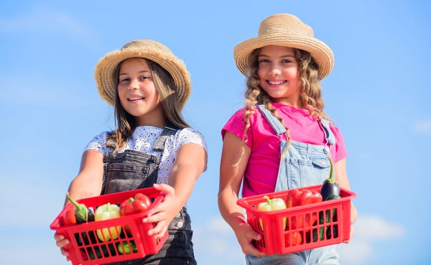 Meilleur service. récolte de vitamine. jardin maraîcher de printemps. enfants agriculteurs. récolte d'automne. légumes de petites filles dans le panier. Uniquement naturel. enfants à la ferme d'été. Alimentation biologique. une alimentation saine est une vie heureuse.