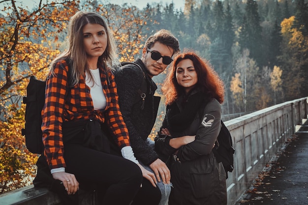 Les meilleurs amis posent pour le photographe en marchant dans la forêt d'automne.