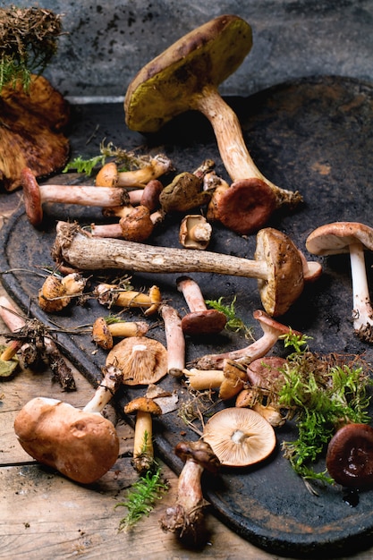 Mélange de champignons forestiers