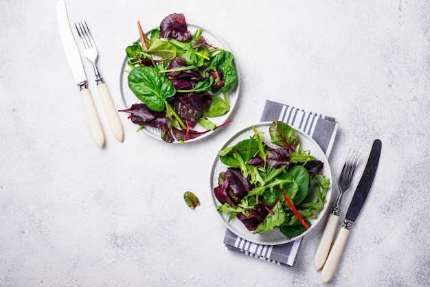 Mélange de feuilles de salade verte