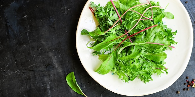 Mélange de feuilles de salade verte