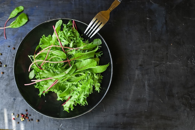 Mélange de feuilles de salade verte