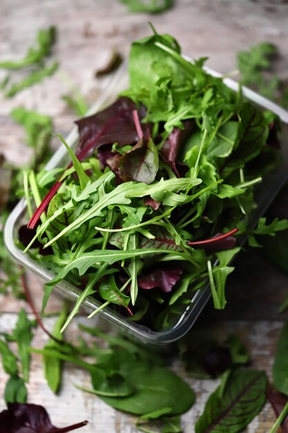 Mélange frais de salades dans un récipient en plastique