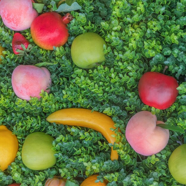 Un mélange de fruits colorés sur un fond d'herbe verte