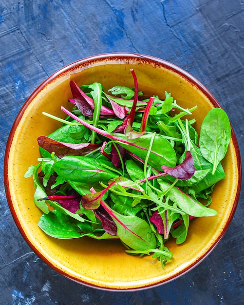 Mélange sain de feuilles de salade