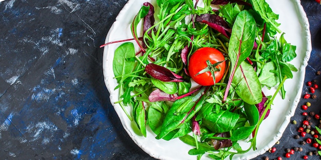 Mélange sain de feuilles de salade