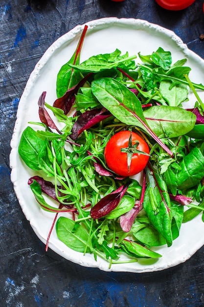 Mélange sain de feuilles de salade