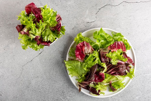 Mélange de salades fraîches saines Salade de feuilles