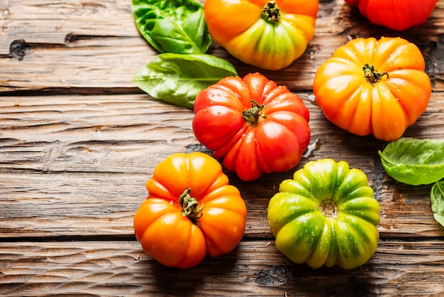 Mélange de tomates rouges, orange et vertes