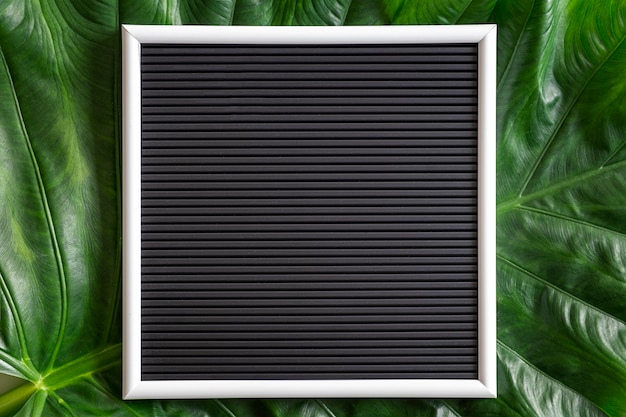 Mélange tropical vert laisse fond avec tableau noir vierge, vue de dessus