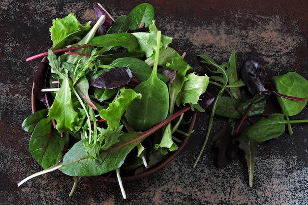 Mélanger les salades pour bébés dans un bol. Concept d'aliments sains ou diététiques. Superfoods Eco food. Nourriture de fitness.