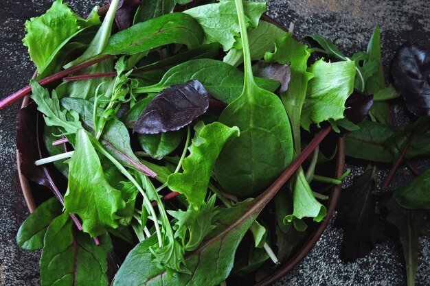 Mélanger les salades pour bébés dans un bol. Concept d'aliments sains ou diététiques. Superfoods Eco food. Nourriture de fitness.