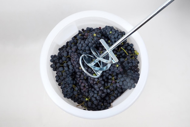 Mélangeur écraser les raisins frais dans un récipient le processus de fabrication du vin rouge