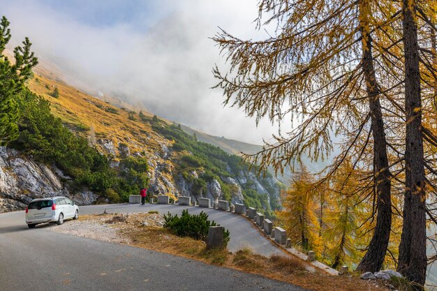 Mélèzes pittoresques dans le brouillard le long de la route près du col de Mangart Slovénie