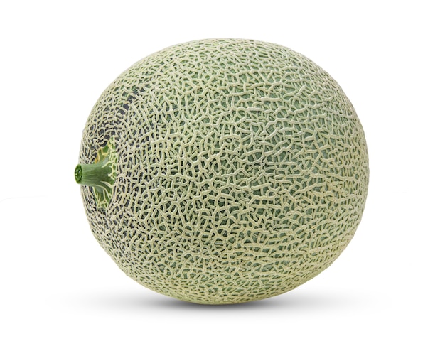 Melon cantaloup isolé