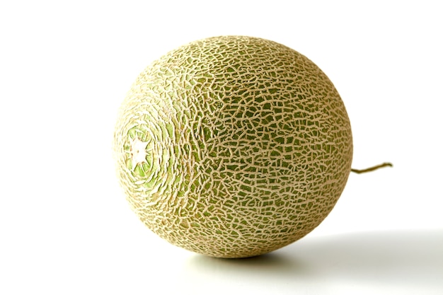 Melon cantaloup