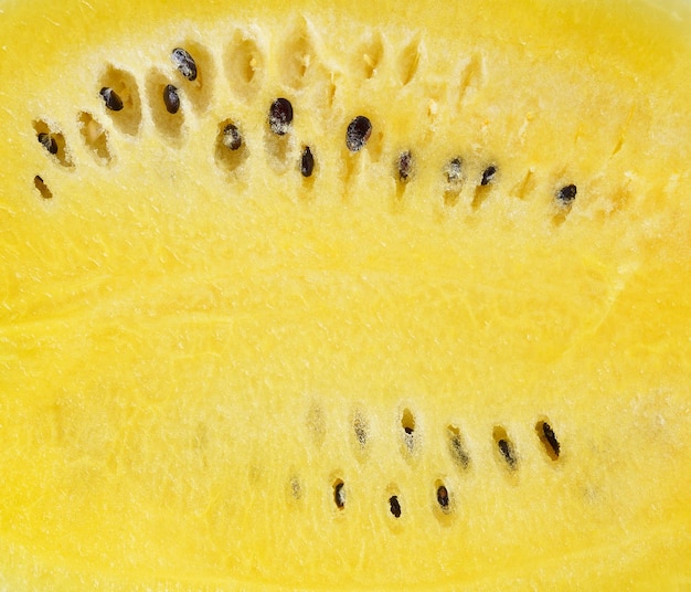 Melon d'eau