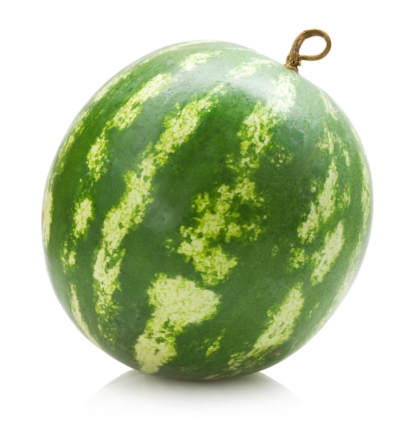 melon d&#39;eau