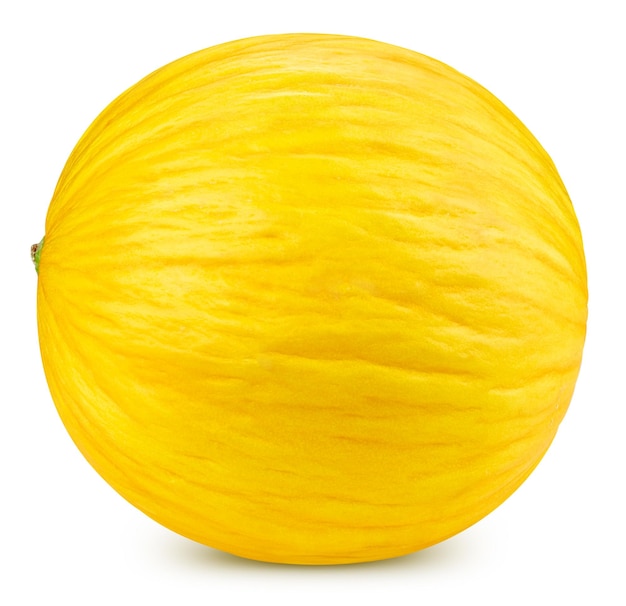 Melon isolé Tracé de détourage