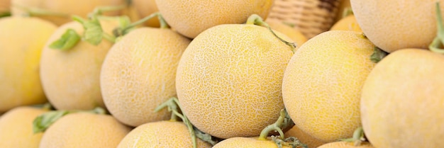 Melon juteux au miel mûr frais sur le marché des avantages d'une alimentation saine des fruits et de la nourriture végétarienne