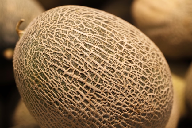 Photo melon résille entier, mûr, à l'épicerie