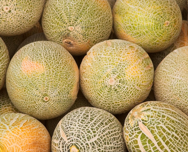 Melons au marché