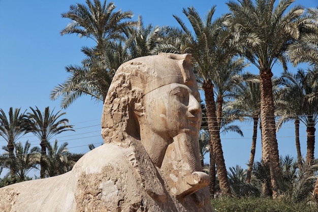 Memphis est l'ancienne capitale de l'Egypte