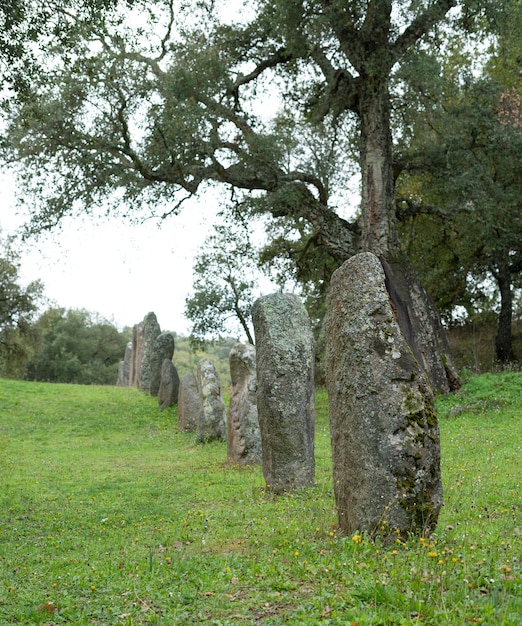 Photo menhir sarde -biru 'e concas sorgono