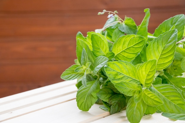 Menthe. Bouquet de feuilles de menthe verte bio fraîche sur la table. Menthe poivrée dans un petit panier