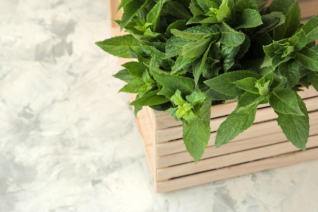 Menthe. Feuilles et branches de menthe sauvage verte fraîche dans une boîte sur une table en béton clair.