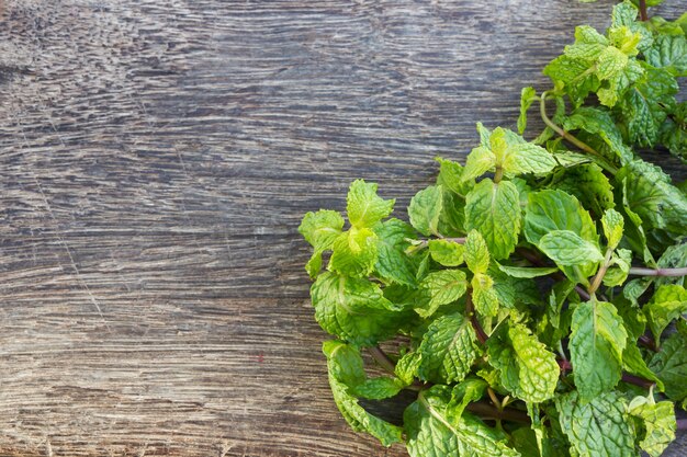 Photo menthe fraîche sur bois.