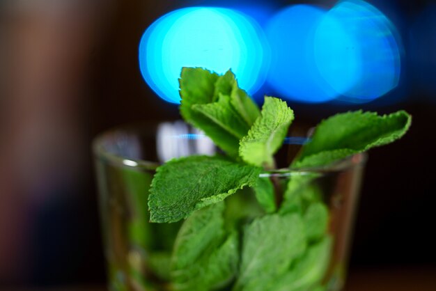 Menthe fraîche dans un bécher en verre transparent.