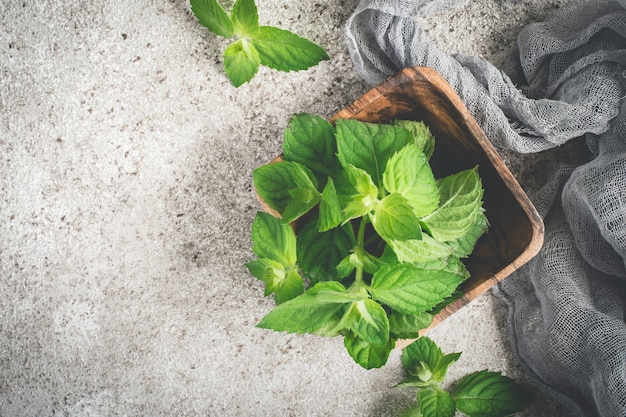 Menthe fraîche dans un bol en bois sur fond gris