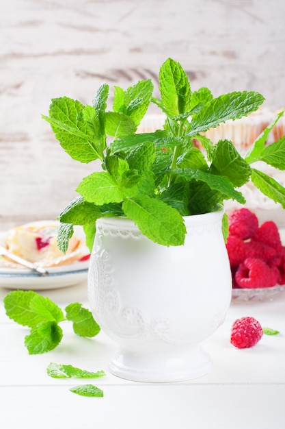 Menthe fraîche dans un vase blanc