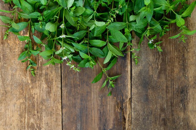 Menthe fraîche sur un fond en bois avec place pour le texte Feuilles tiges et fleurs Une plante parfumée Aromathérapie et cuisine Menthe pour sécher et ajouter au thé Espace de copie