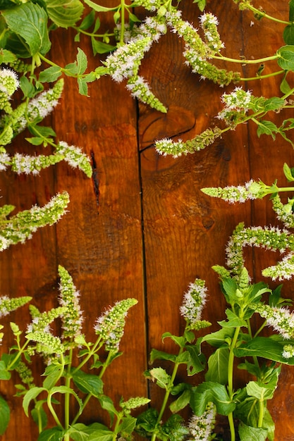 Menthe fraîche sur gros plan en bois