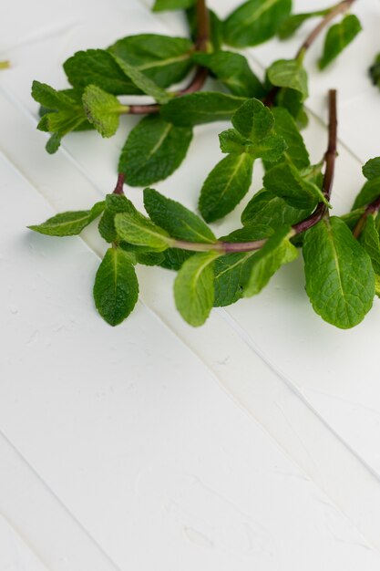 Menthe fraîche sur une table se bouchent