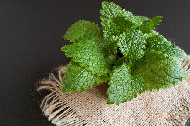 Menthe fraîche sur la toile de jute.